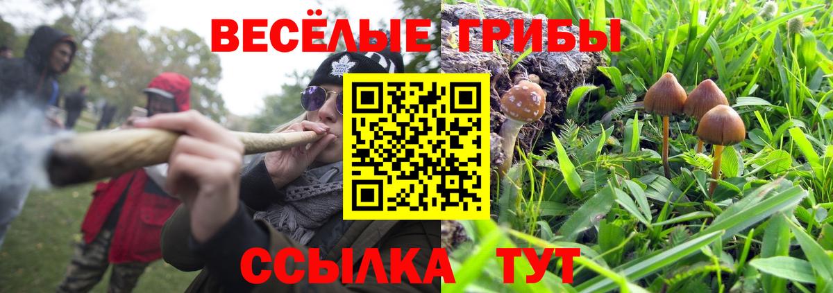 Галлюциногенные грибы ЛСД Сокол