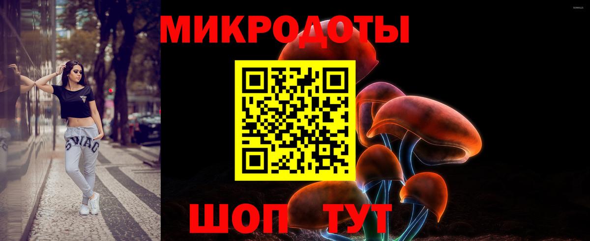Сокол  Псилоцибиновые грибы Cubensis  Вход с VPN 